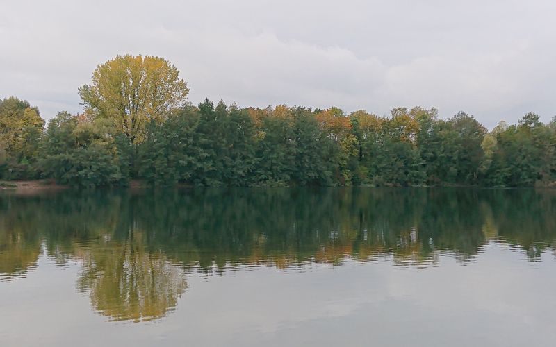 Mehr über den Artikel erfahren Klarheit: Der Weg zur Begegnung mit Dir selbst