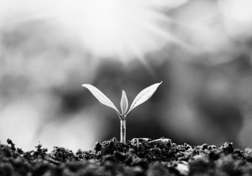 Neu ausrichten ohne zu wissen, wohin – Mit Unklarheit leben lernen