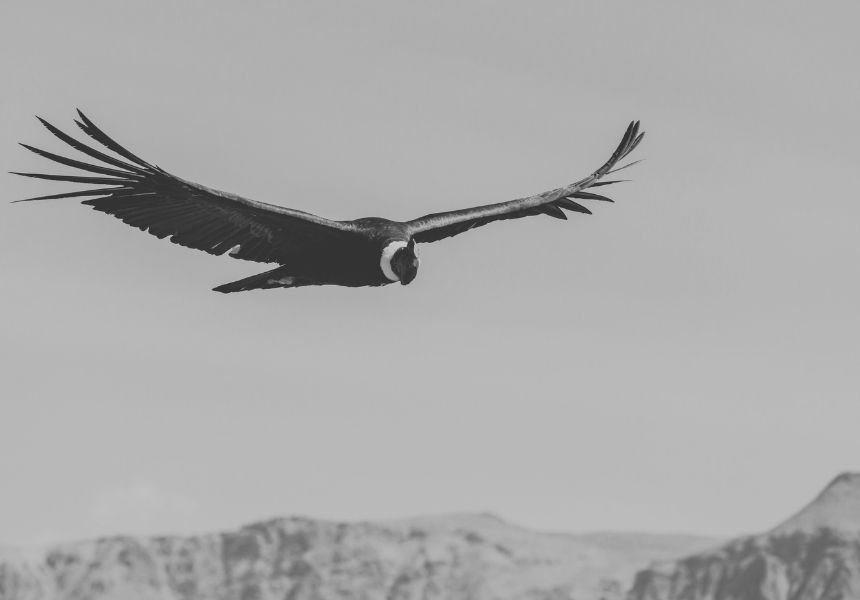 Mehr Übersicht, weniger Perfektion – Ordnung schaffen im echten Leben