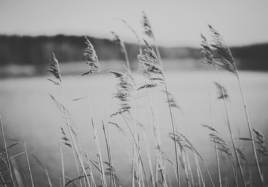 Inspiration pur: Die 20 schönsten Zitate über Minimalismus