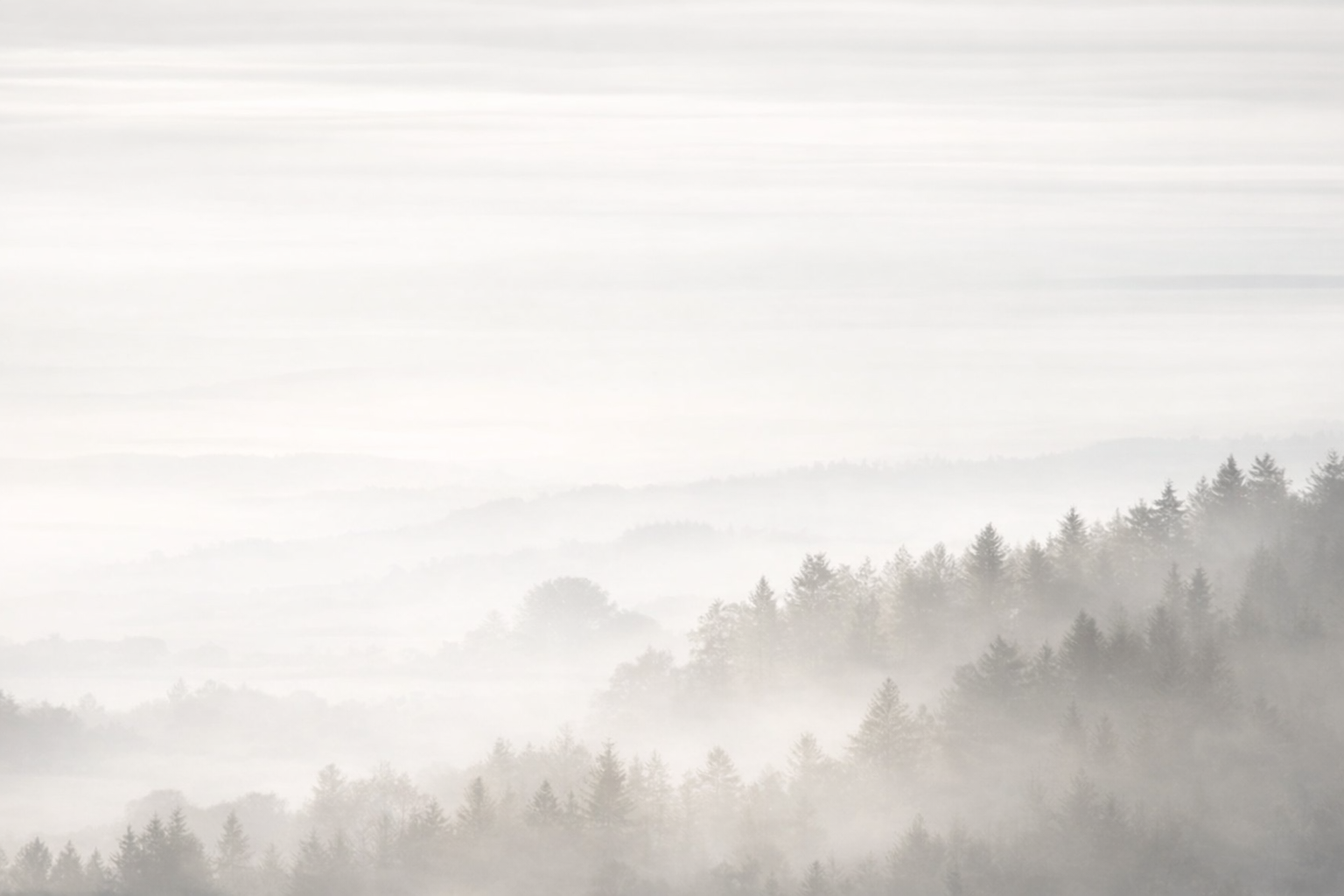 Kategorie Headerbild