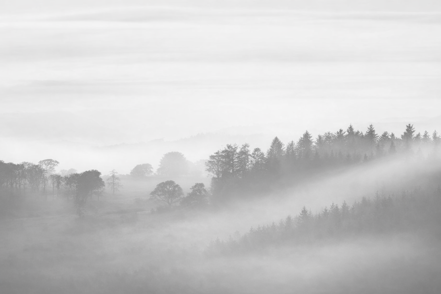 Kategorie Headerbild